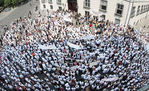 Demonstranty přijal spolkový kancléř Alfred Gusenbauer.