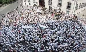 Demonstranty přijal spolkový kancléř Alfred Gusenbauer.