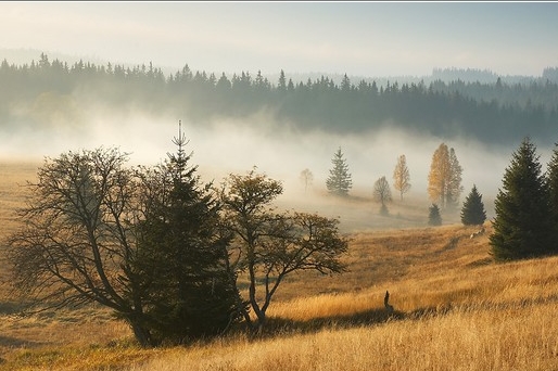 Ilustrační foto: podzim na Šumavě.