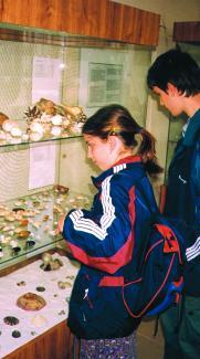 Nad&scaron;enec pro rozmanitost. Sb&iacute;rka lastur Josefa Podhajsk&eacute;ho č&iacute;t&aacute; na dva tis&iacute;ce kusů. Do konce dubna je možn&eacute; vidět v Galerii Ali Baba v Hradci Kr&aacute;lov&eacute; ty nejzaj&iacute;mavěj&scaron;&iacute; kousky.