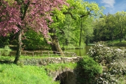 Z&aacute;meck&yacute; park.