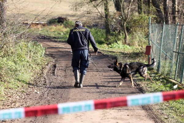 Policisté se psy hledají kulku, která Tauchenovou zasáhla.