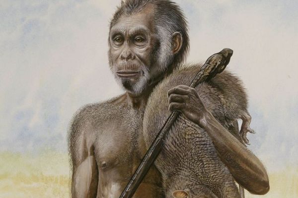 Hobit aneb Homo floresiensis - antropologická senzace století.