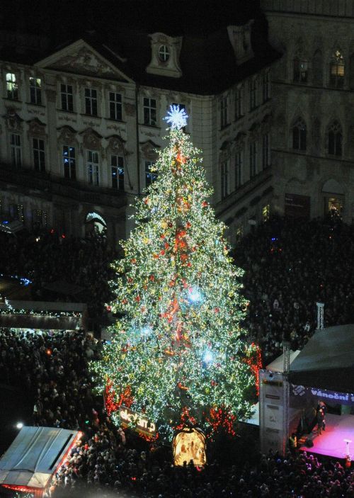 Vánoční strom se rozsvítil v 18 hodin.
