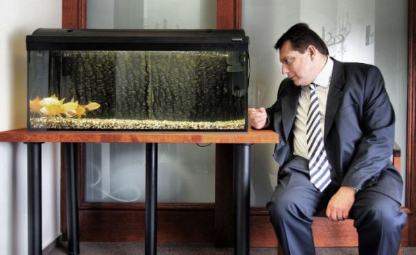 Rybičky utíkají před upřeným pohledem předsedy sociální demokracie Jiřího Paroubka (Jan Zatorsky, 2009).