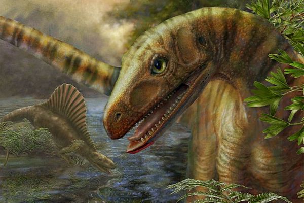 Asilisaurus kongwe žil ve stejné době jako první dinosauři.