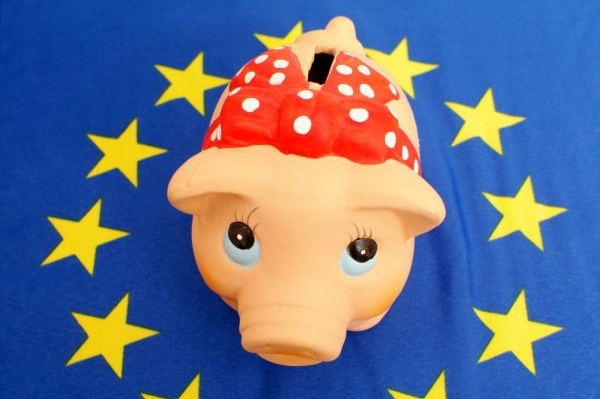 Policie prověřuje přidělování dotací na jihu Čech. (ilustrační foto)
