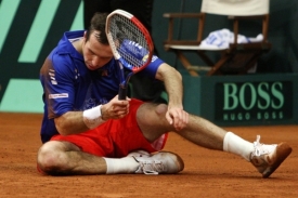 Radek Štěpánek v utkání Davis Cupu v Belgii.