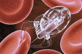Budoucností nanotechnologií jsou nanoboti.