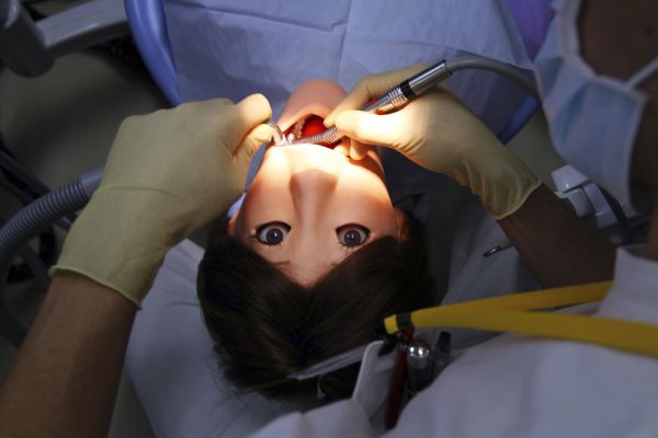 Zuby, pohroma huby. Cimrmanův výrok platí i pro roboženu Hanako.