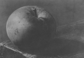 Klasika nemůže chybět. Josef Sudek.