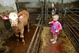 Po čerstvém zboží od malých farmářů je velká poptávka.