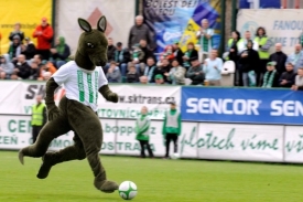 Jediným aktérem na hřišti Bohemians 1905 byl maskot.