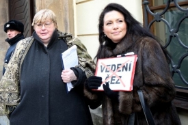 Suverenita Jany Bobošíkové je další z mnoha stran s problémy.