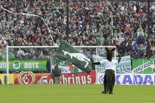 Klokan osamocený. 