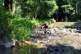 Cyklista v Národním parku Podyjí.