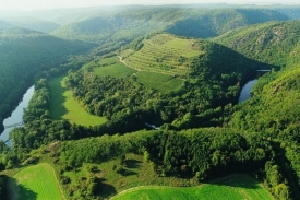 Vinice Šobes.