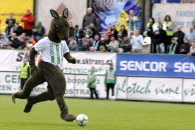 Maskot Bohemians 1905 se proh&aacute;n&iacute; s balonem v Ďol&iacute;čku.