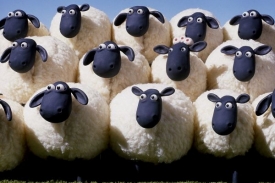 Ovečka Shaun.