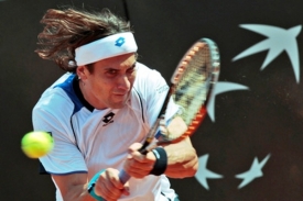 David Ferrer.