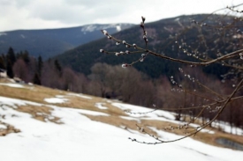 Jaro v krkonoších. Jaro v krkonoších.
