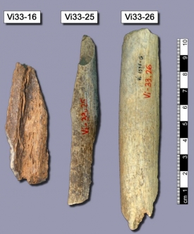 Neandert&aacute;lskou DNA vědci z&iacute;skali ze tř&iacute; kost&iacute; z chorvatsk&eacute; jeskyně.