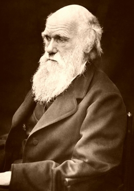 Darwin rizika příbuzenských sňatků rozpoznal. Viděl je kolem sebe.