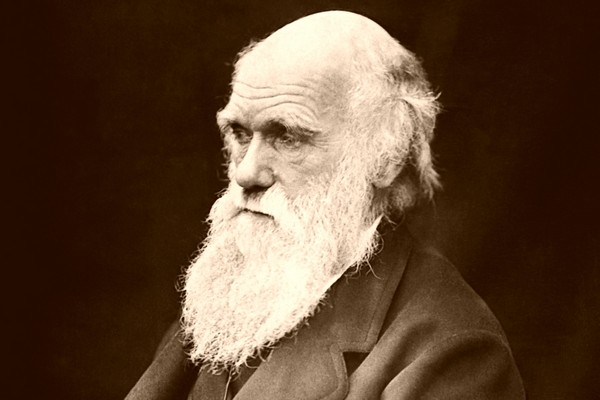 Darwin rizika příbuzenských sňatků rozpoznal. Viděl je kolem sebe.