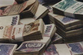 Rada má vliv na hospodaření pojišťovny, schvaluje pojistný plán.