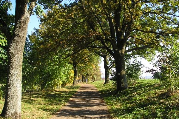 Česká Kanada.