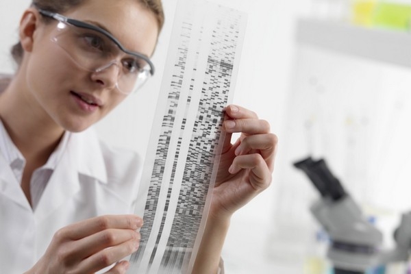 Čtení dědičné informace zapsané v DNA (ilustrační foto).