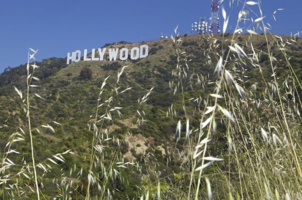 Ochlazení světové ekonomiky se podepsalo i na filmovém průmyslu. Ochlazení světové ekonomiky se podepsalo i na filmovém průmyslu.