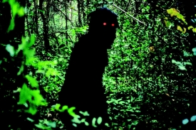 Uncle Boonmee Who Can Recall His Past Lives.