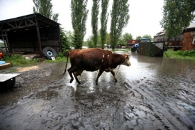 V zátopové vodě jsou nebezpečné bakterie z žump a chlévů.