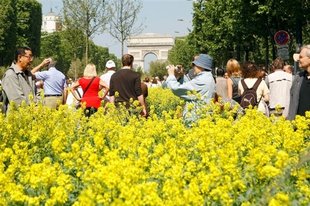Champs-Elysées o víkendu svítila.