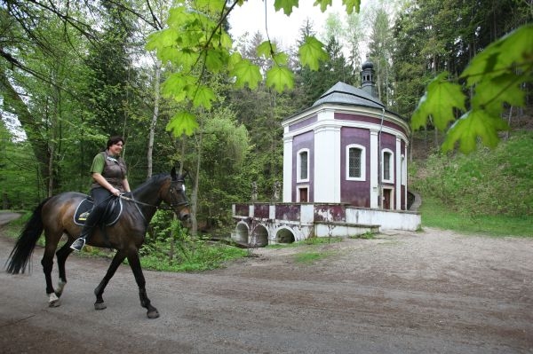 Studánka v lese u Bakova nad Jizerou, která má mít léčivé účinky.