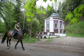 Studánka v lese u Bakova nad Jizerou, která má mít léčivé účinky.