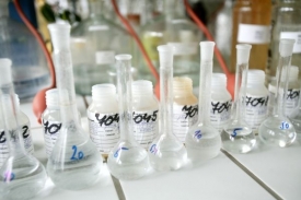 Vzorky zkoumá laboratoř firmy Aquatest.
