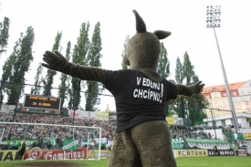 Klokanům Eden 
