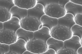 Umělý povrch z atomů hliníku a titanu napodobuje motýlí křídlo.