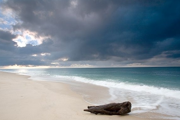 Vítězná pláž: Coopers Beach. 