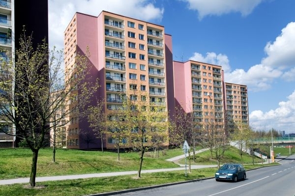 bez popisku 257528