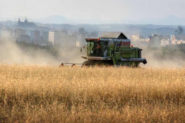Loňská úroda byla nadprůměrná, tu letošní ohrožují povodně. Loňská úroda byla nadprůměrná, tu letošní ohrožují povodně.