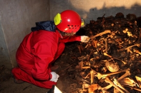 Pátrání začalo před půl rokem mezi ostatky v jedné toskánské kryptě.