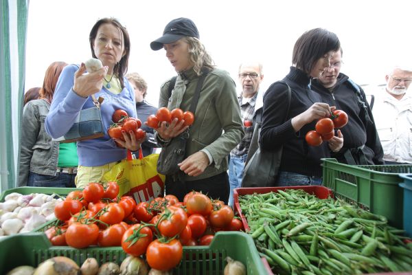 Zeleninu bez nebezpečných pesticidů koupíte často u malopěstitelů.