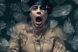 Benicio del Toro.