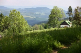 Krásy letních hor. Okolí krkonošského Mravenečníku.