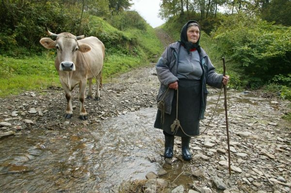 Stále více seniorů žaluje stát kvůli placení nižších důchodů.