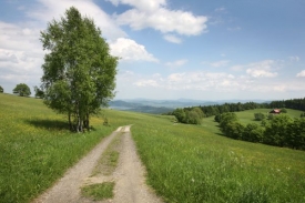 Ač patří k nejnavštěvovanějším, nabízejí Krkonoše i panenskou přírodu.