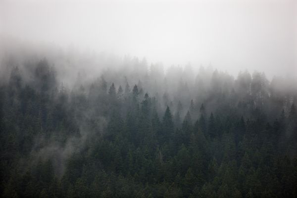 Šumava získá novou rozhlednu na vrchu Chlum (ilustrační foto).